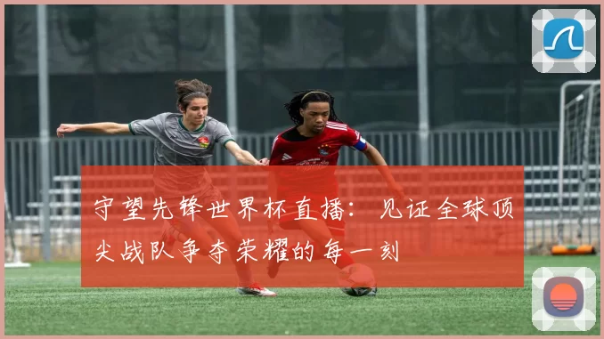 守望先锋世界杯直播:见证全球顶尖战队争夺荣耀的每一刻
