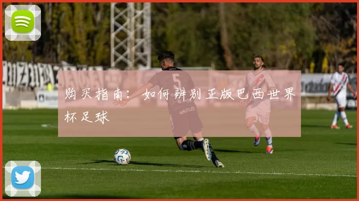 购买指南：如何辨别正版巴西世界杯足球