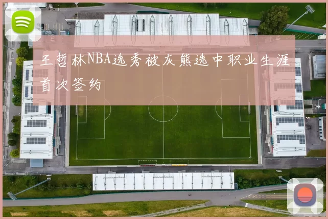 王哲林NBA选秀被灰熊选中职业生涯首次签约