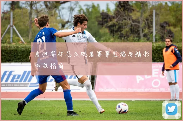 看世界杯怎么观看赛事直播与精彩回放指南