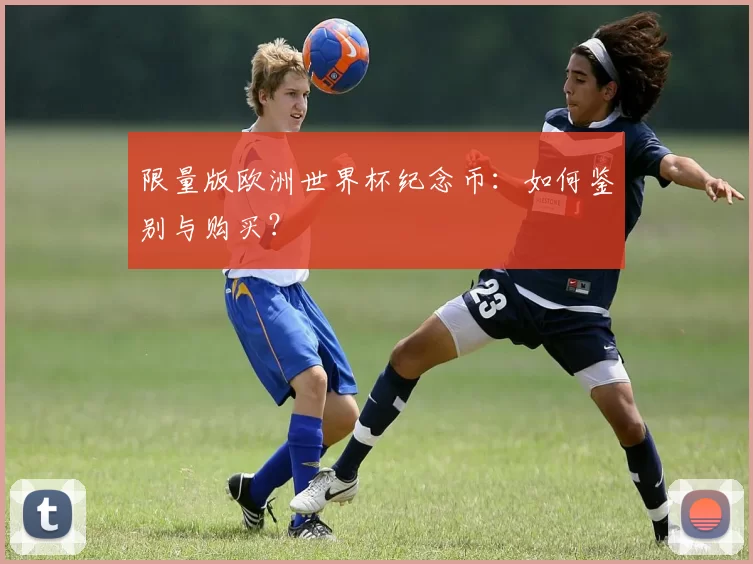 限量版欧洲世界杯纪念币:如何鉴别与购买?