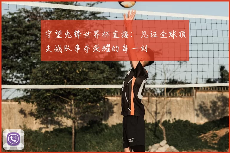 守望先锋世界杯直播:见证全球顶尖战队争夺荣耀的每一刻