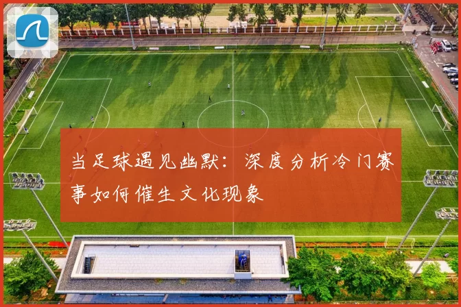 当足球遇见幽默:深度分析冷门赛事如何催生文化现象