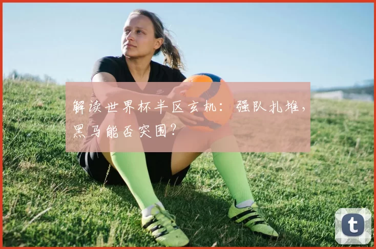 解读世界杯半区玄机：强队扎堆，黑马能否突围？