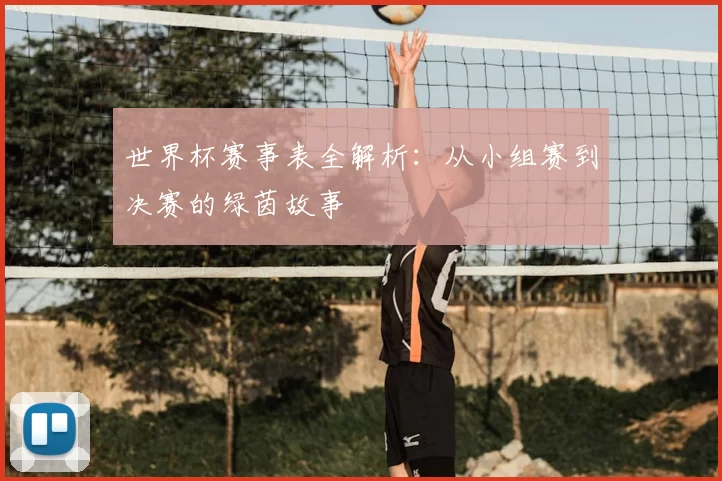 世界杯赛事表全解析:从小组赛到决赛的绿茵故事
