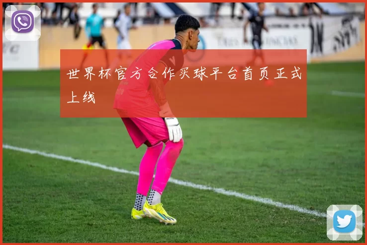 世界杯官方合作买球平台首页正式上线