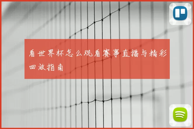 看世界杯怎么观看赛事直播与精彩回放指南