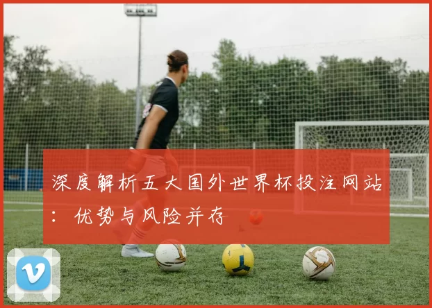 深度解析五大国外世界杯投注网站:优势与风险并存