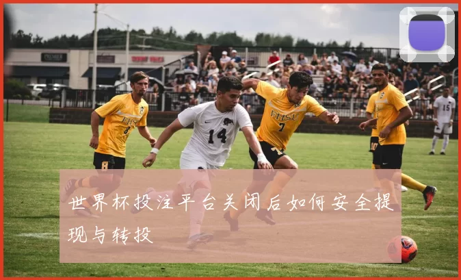 世界杯投注平台关闭后如何安全提现与转投