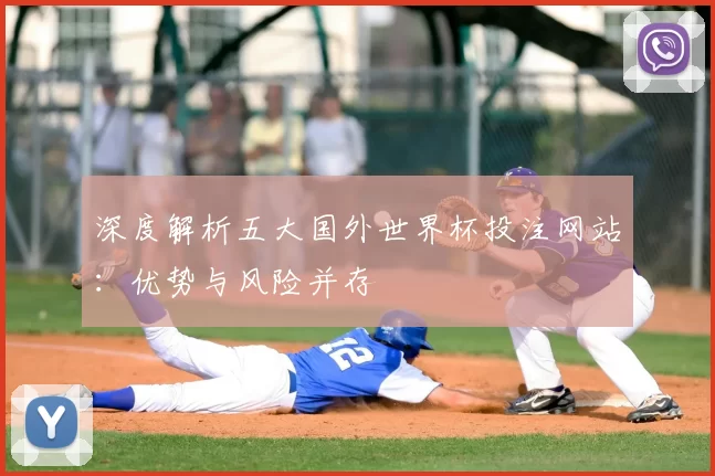 深度解析五大国外世界杯投注网站:优势与风险并存