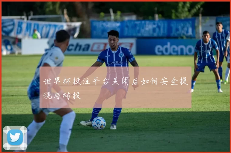 世界杯投注平台关闭后如何安全提现与转投